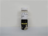 藏品(家燕)的圖片